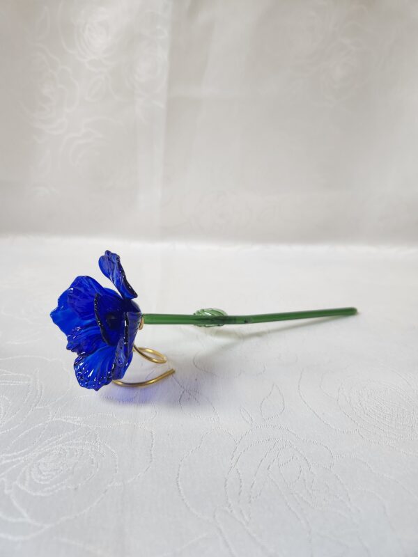 20260204_153107 Rose éternelle