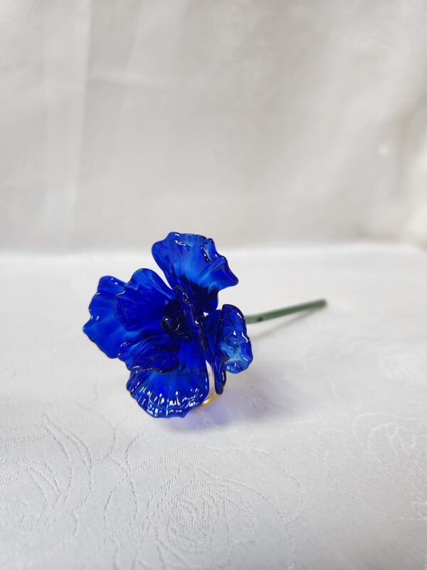 20260204_153112 Rose éternelle