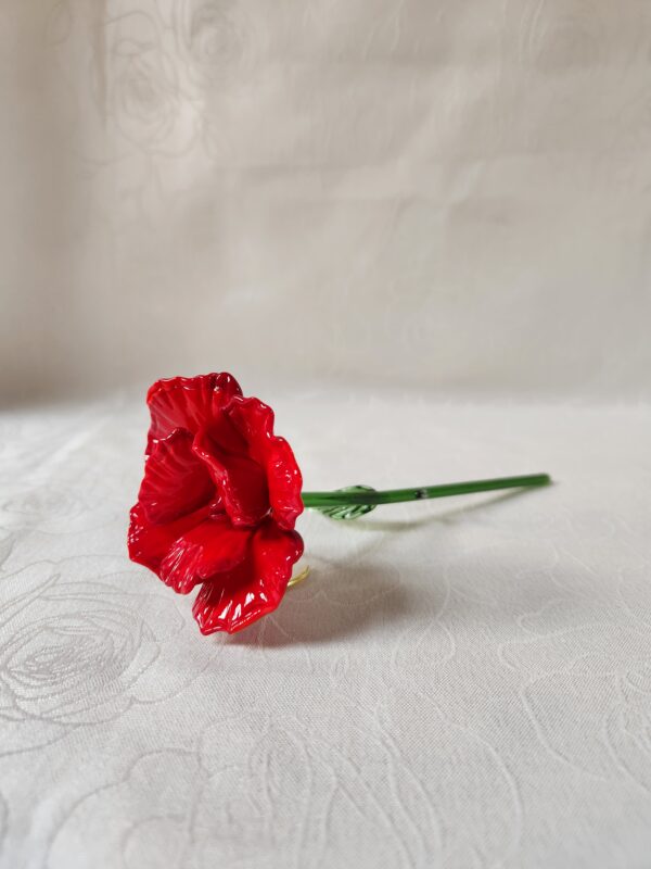 20260205_112209 Rose éternelle