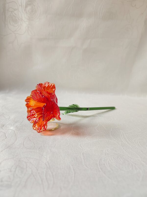 20260205_112345 Rose éternelle