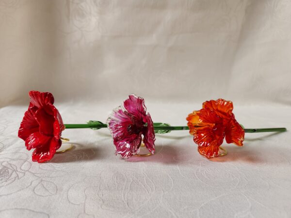 20260205_112450 Rose éternelle